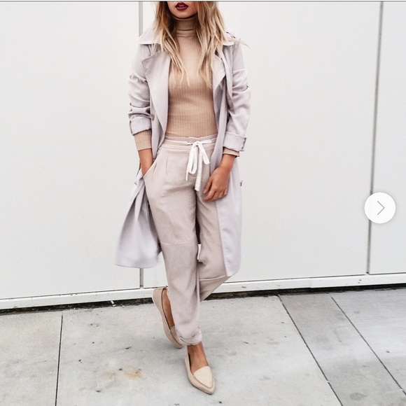 Aritzia Marais Pant - Picture 8 of 10